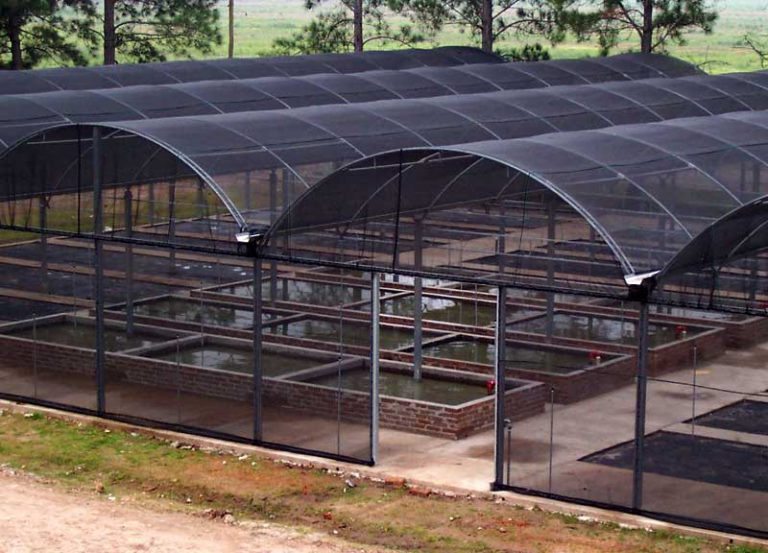 SOMBRÁCULOS – IRIE Hnos. S.R.L.